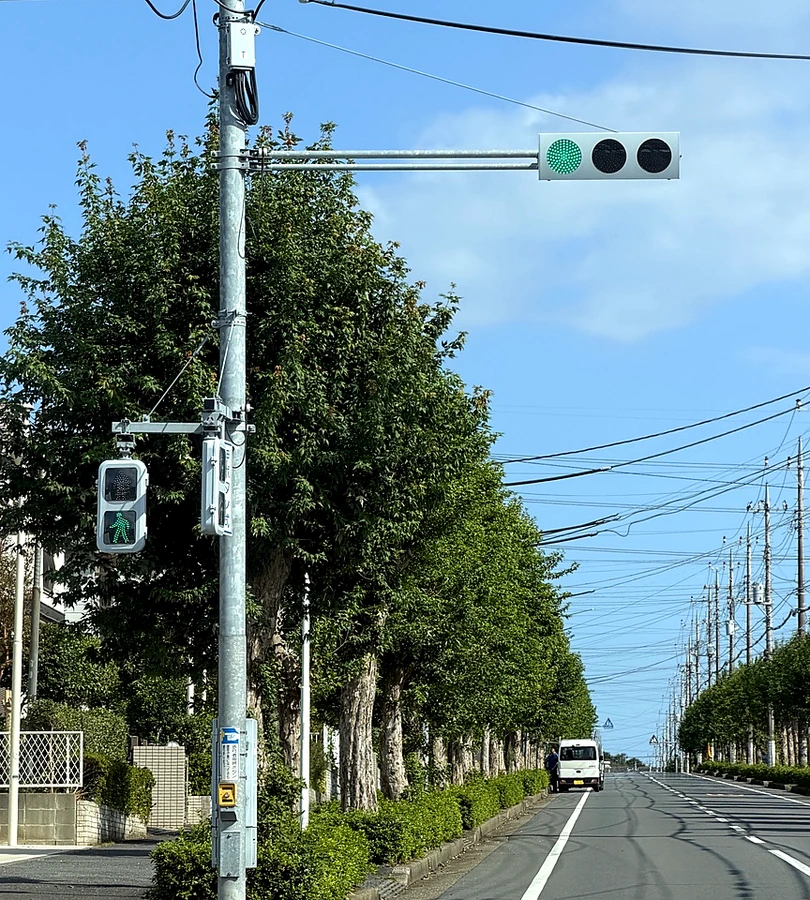 青信号と歩行者用信号の実写写真