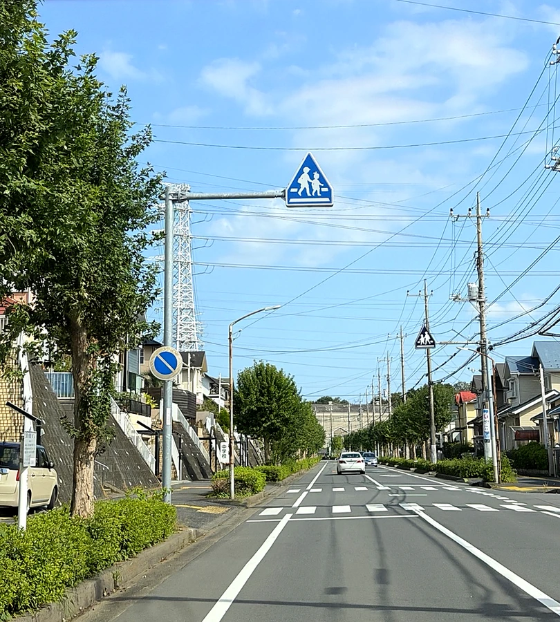 横断歩道と道路標識の実写写真