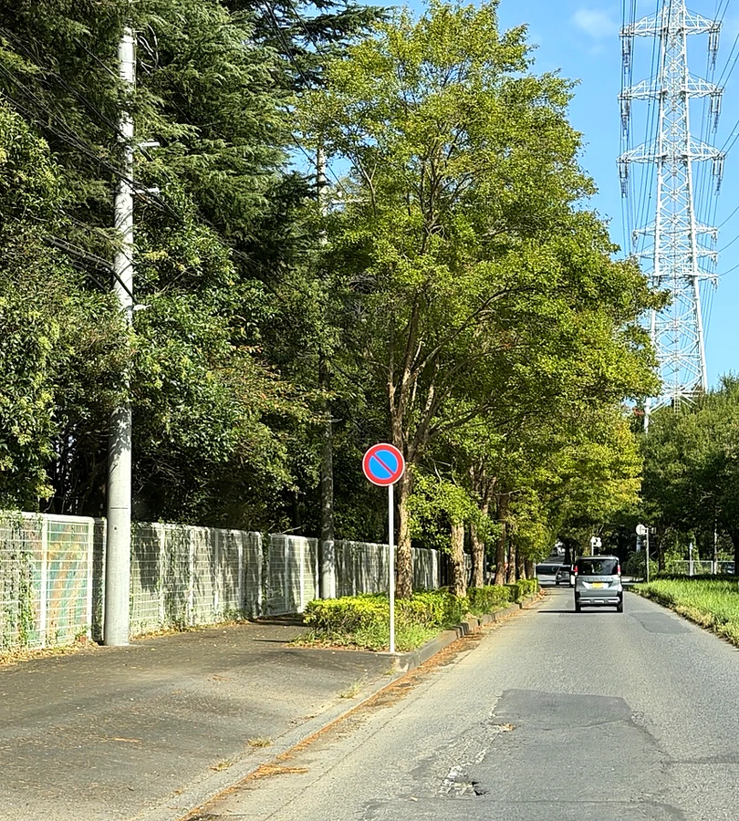 駐車禁止の標識の実写写真