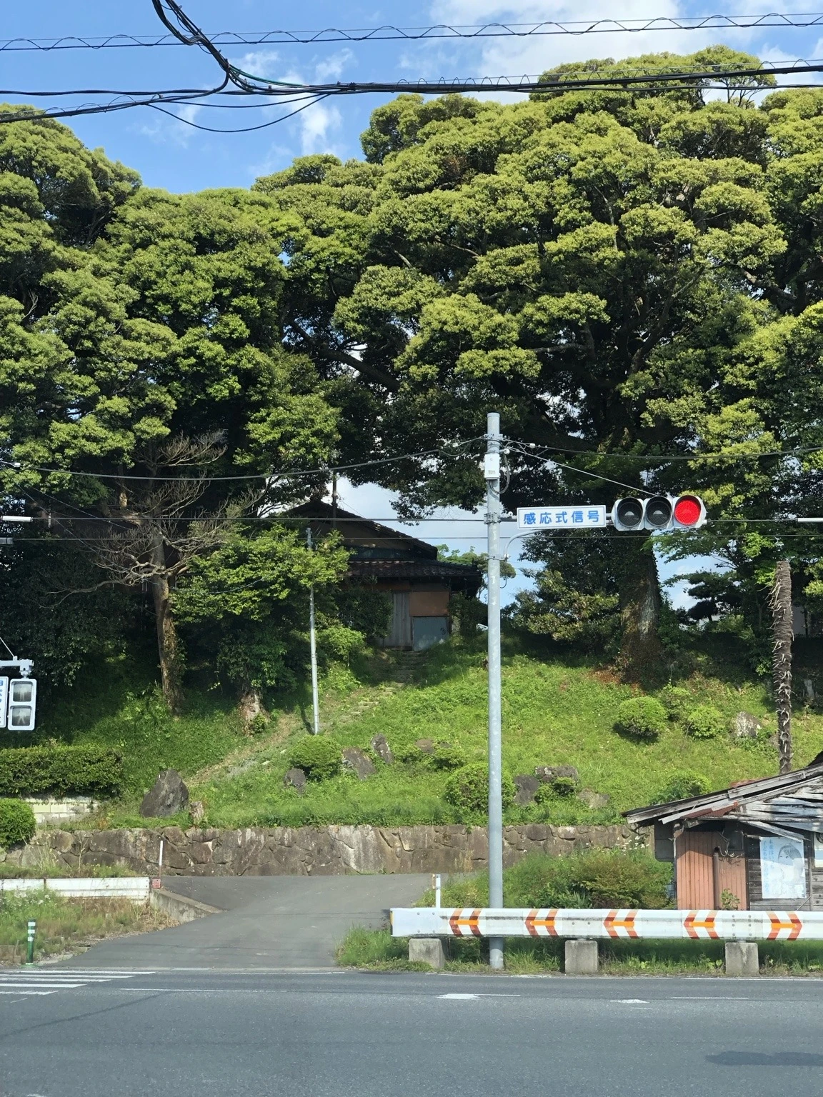 信号機と道路環境の実写写真