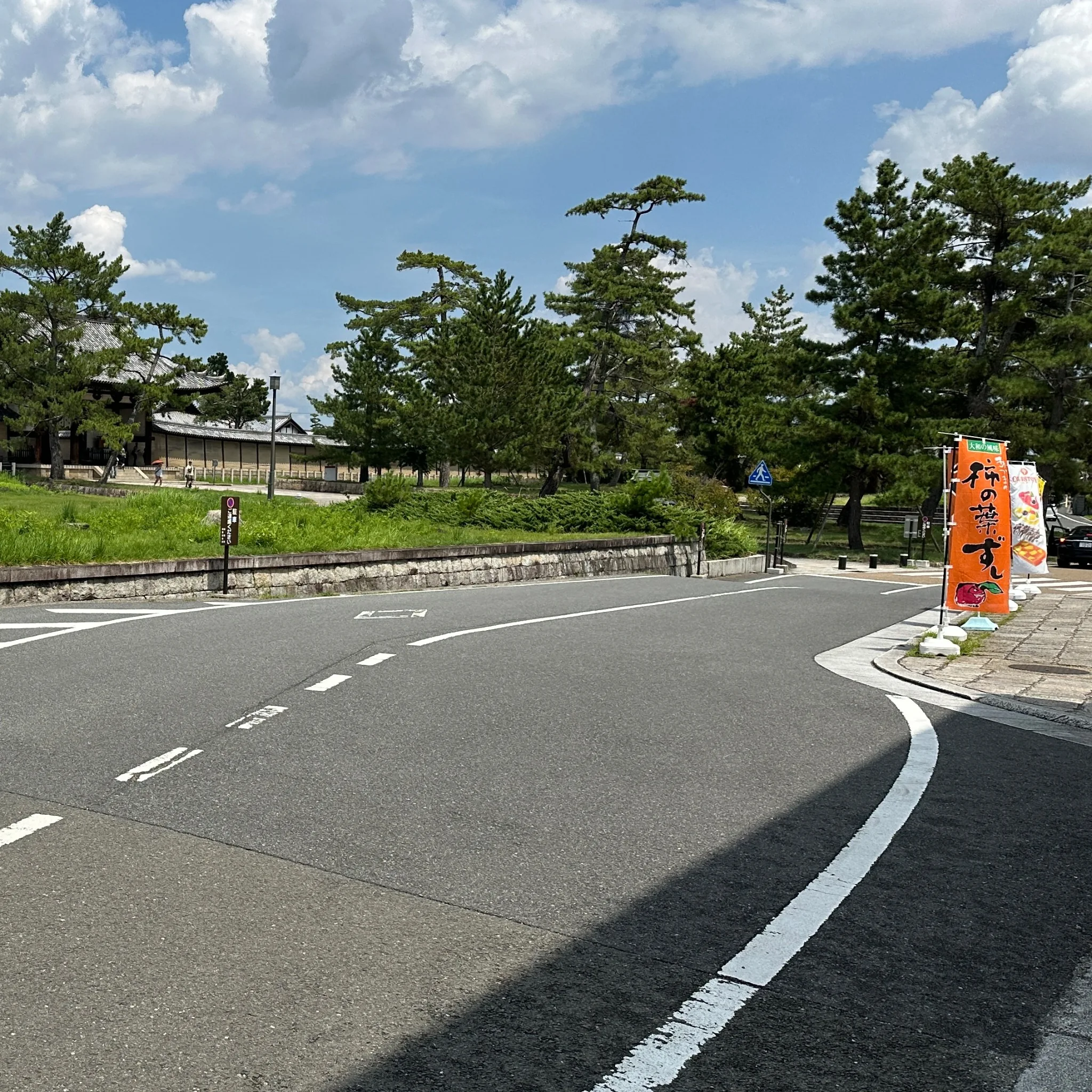松並木とカーブする道路の実写写真