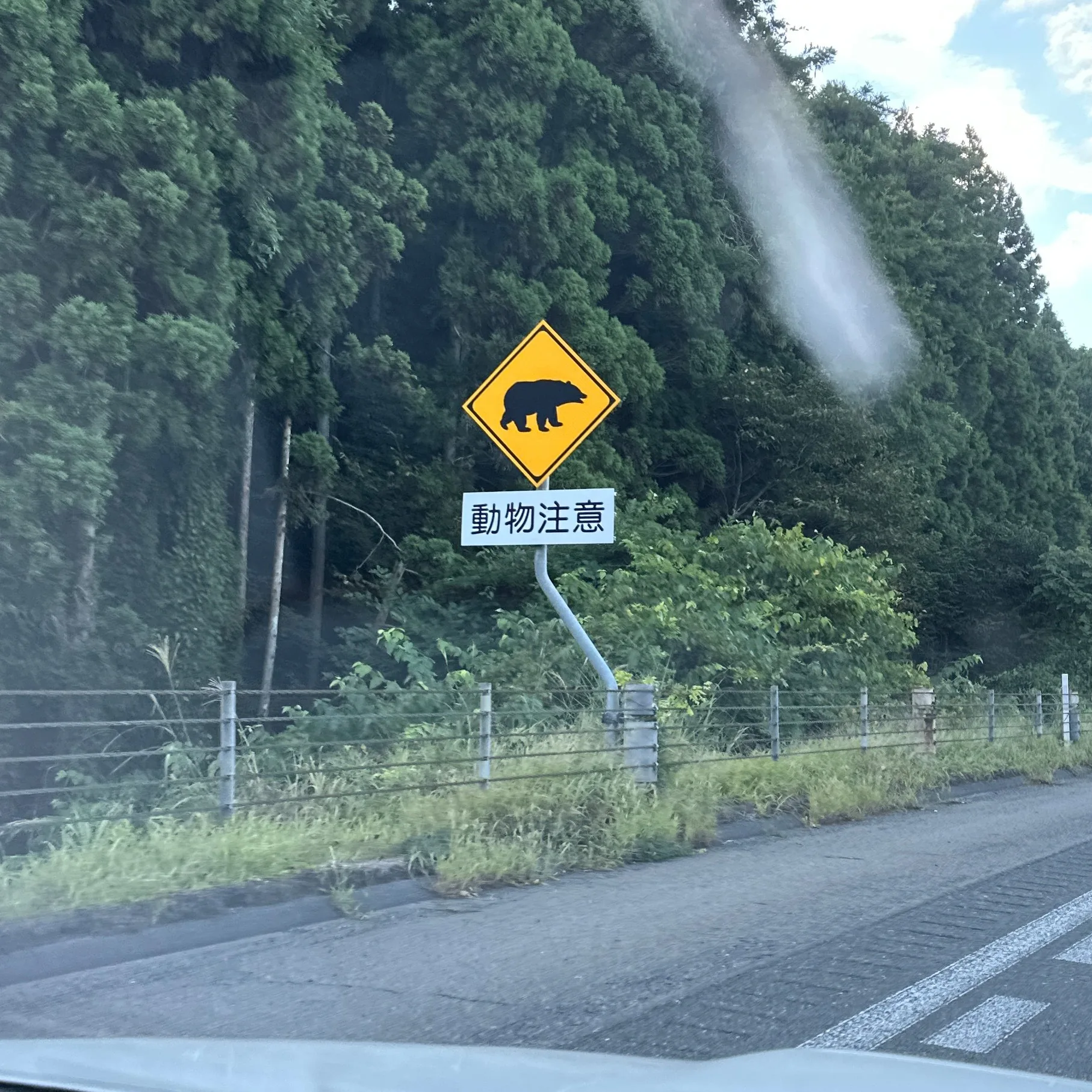 クマに注意の警戒標識の実写写真